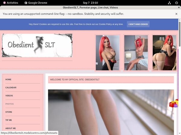 0bedientSLT Vendo Page