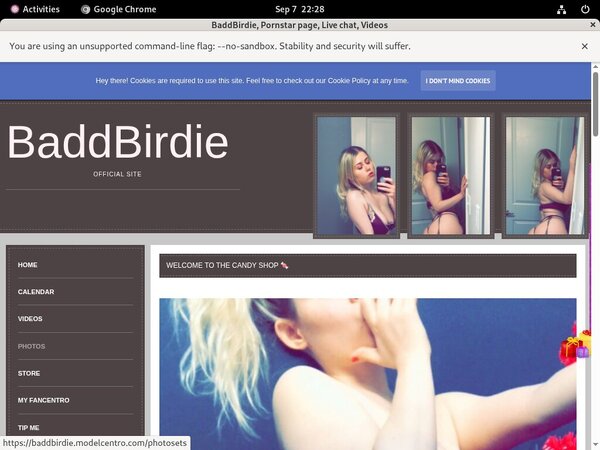 BaddBirdie Paypal Purchase