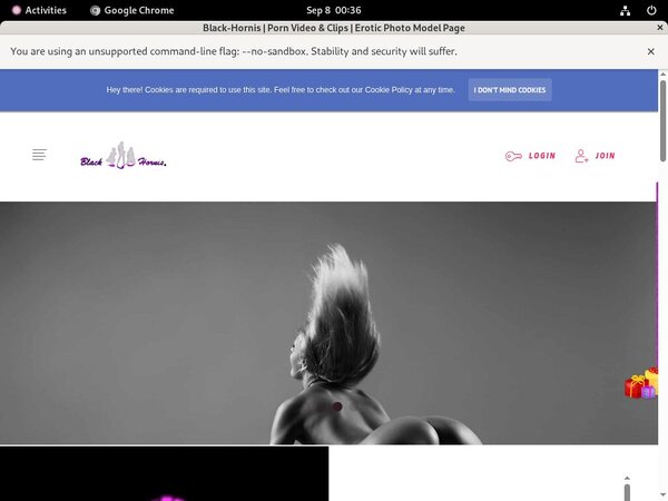 Black-hornis.net Account Discount