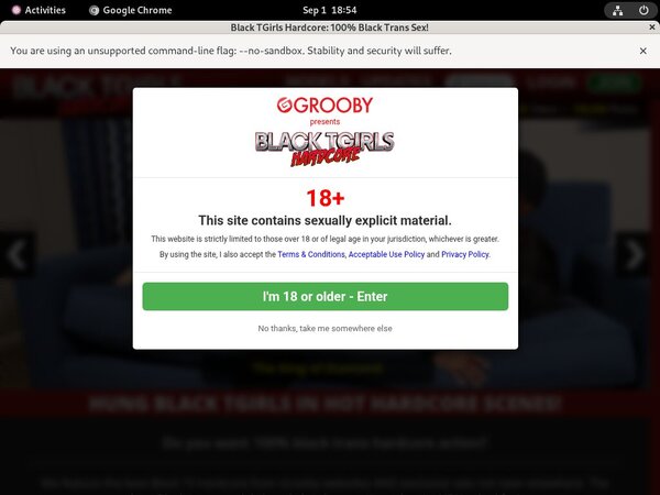 Blacktgirlshardcore.com Free Hd