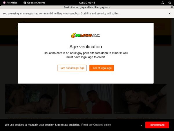 Bolatino.com Cost Bolatino.com Cost