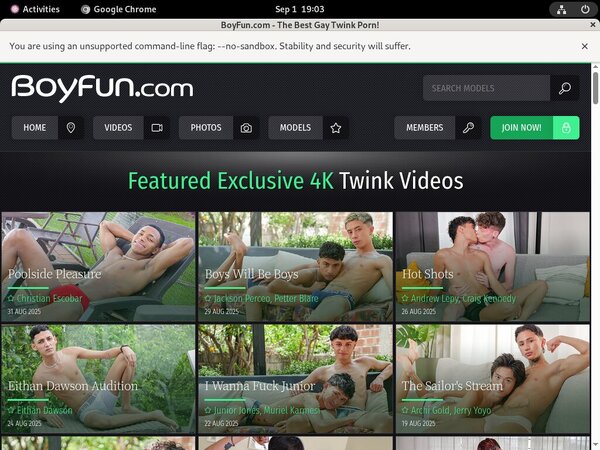 Boyfun Password Bugmenot