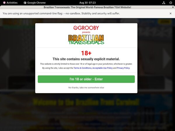 Brazilian Transsexuals Discounted