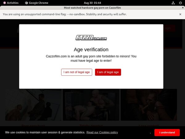 Cazzo Stolen Password Cazzo Stolen Password