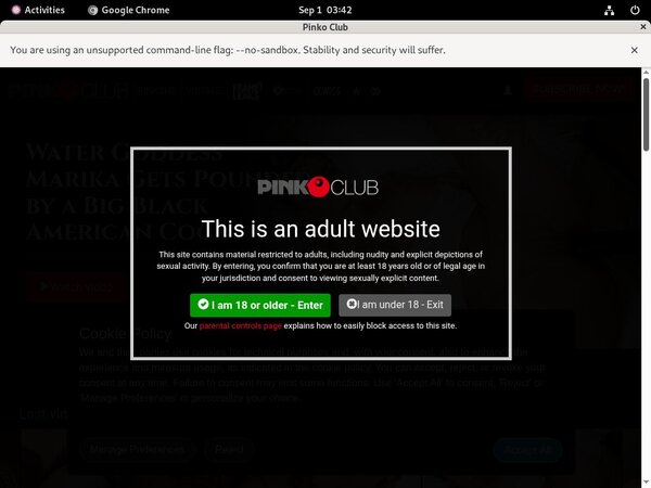 Clubpinko Access