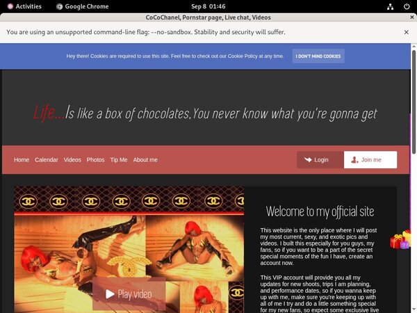 CoCoChanel Working Accounts