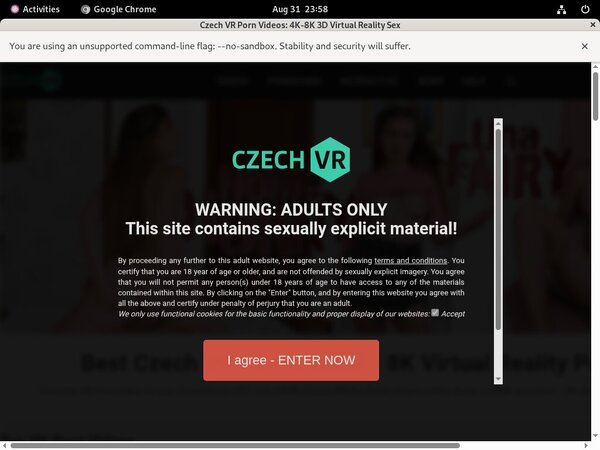 Czechvr Valid Account
