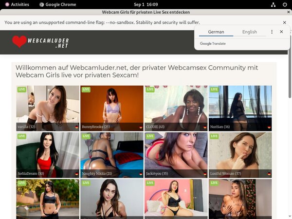 Discount WebCam Luder 70% OFF