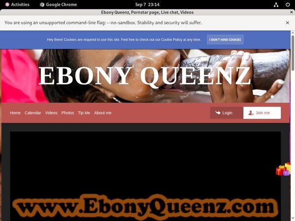 EbonyQueenz Site Rip Download