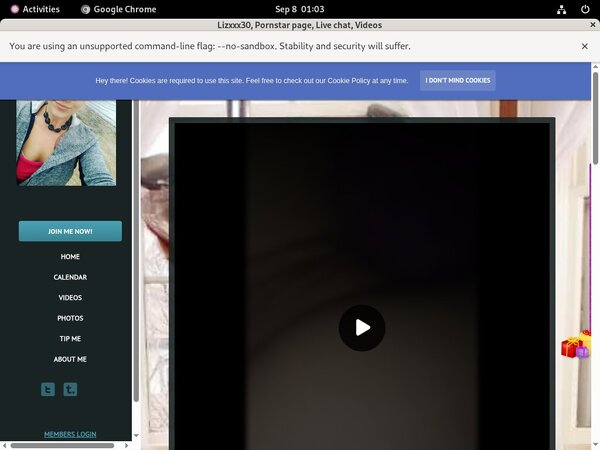 Free Password To Lizxxx30.modelcentro.com