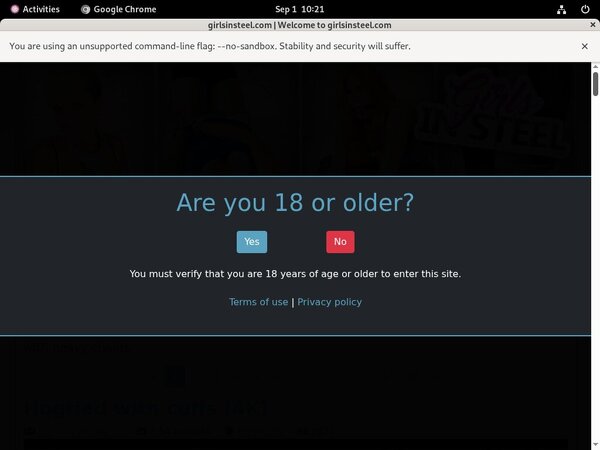 Girlsinsteel.com Login Generator Girlsinsteel.com Login Generator