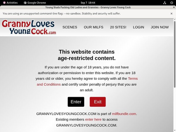 Grannylovesyoungcock.com Web Billing