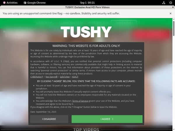 Inside Tushy Inside Tushy