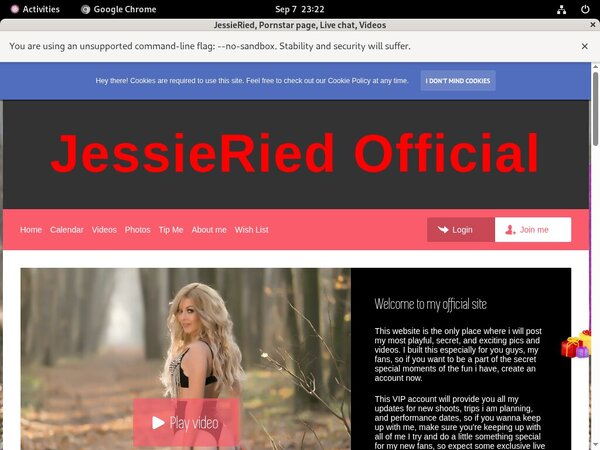 Jessieried.modelcentro.com Payment Page