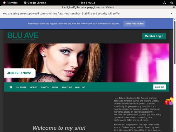 Ladii_blu13 Passwords 2017