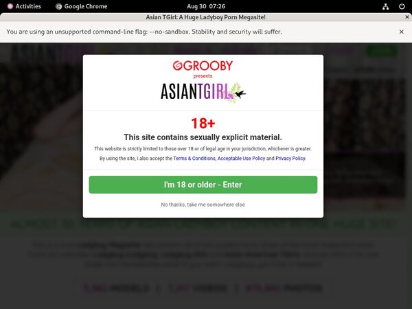 Ladyboyladyboy Naked