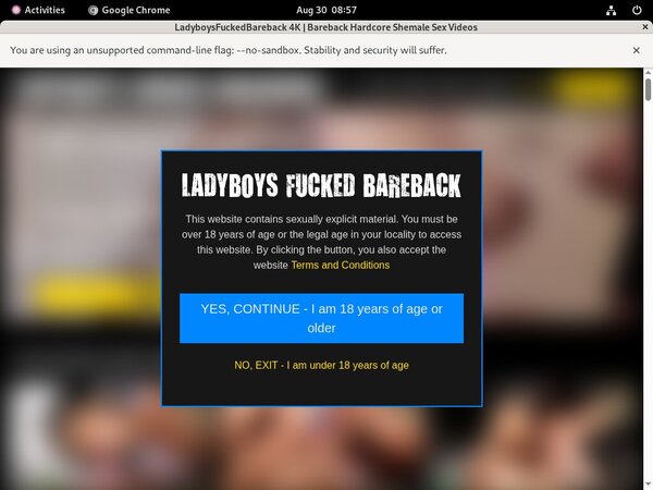 Ladyboys Fucked Bareback Account Premium Free
