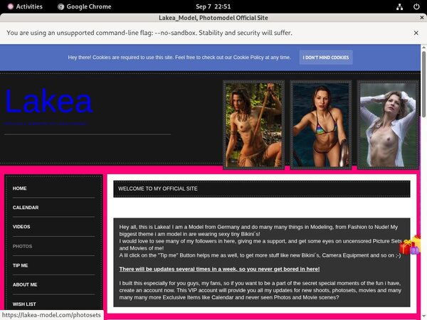 Lakea_Model Valid Account