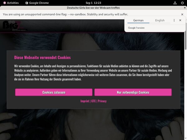 Lana Giselle Password Share