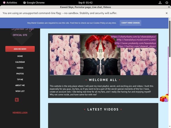 Login To KawaiiSkye For Free