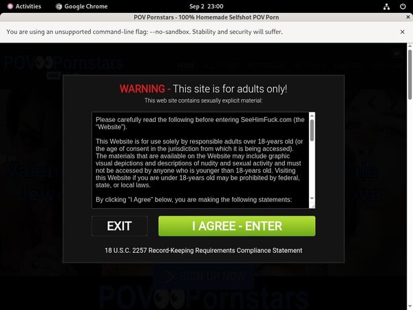POV Pornstars With Paysafecard