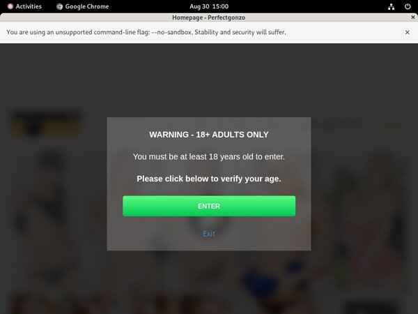 Perfect Gonzo Login And Password