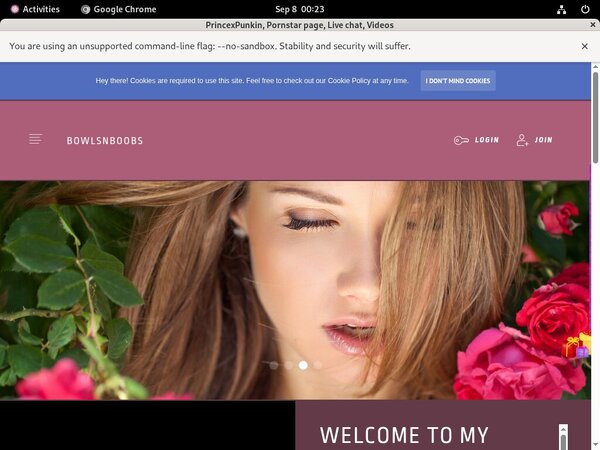 PrincexPunkin Limited Time Discount