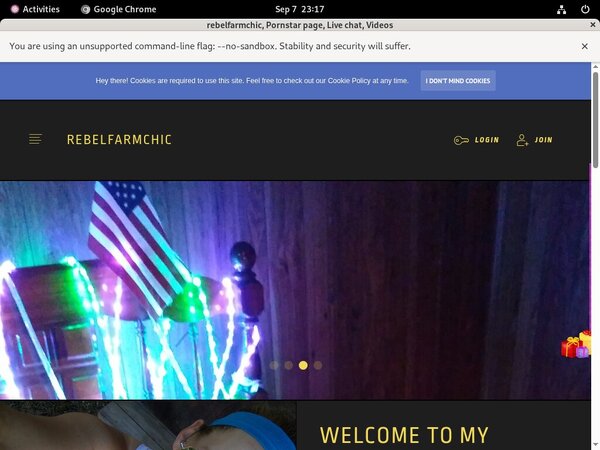 Rebelfarmchic.modelcentro.com ??