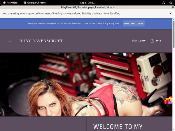 Rubyraven69.modelcentro.com Paypal Discount