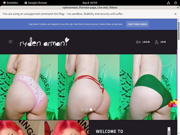 Rydenarmani.com Paypal Option