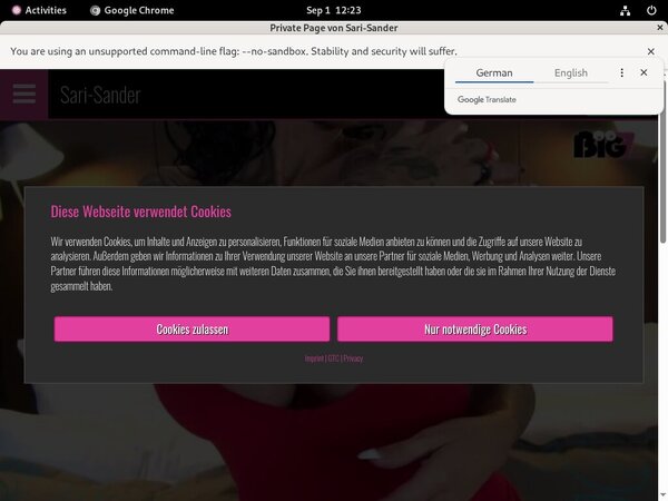 Sari-sander.com Kink