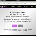 Silversluts Passwords Blog Silversluts Passwords Blog