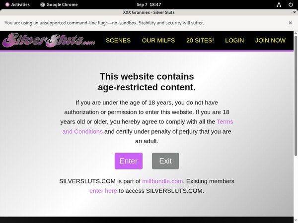 Silversluts Passwords Blog