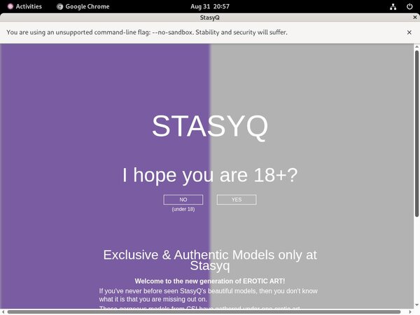 Stasyq.com Log In