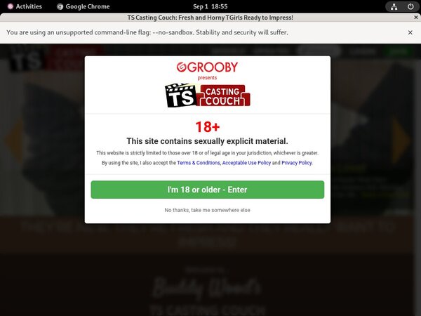 TS Casting Couch Hack Account