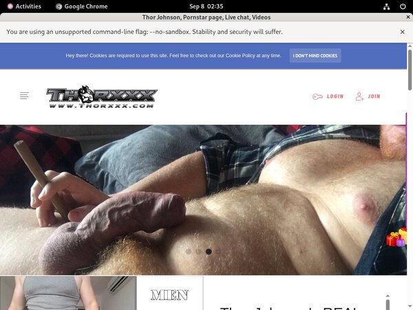 Thor Johnson Passwords 2017