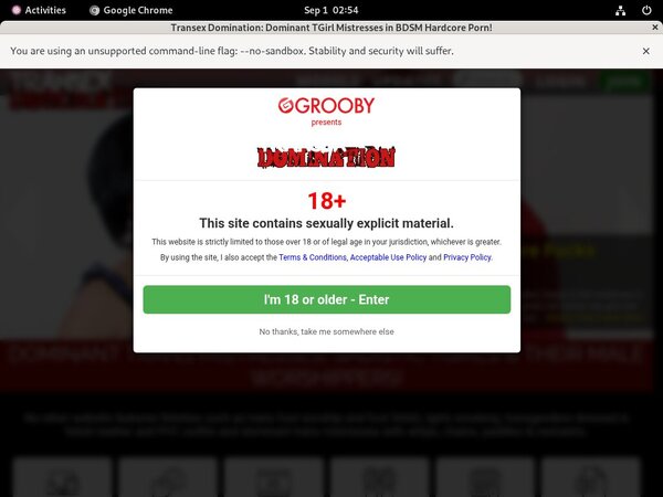 Transex Domination Paysite Review