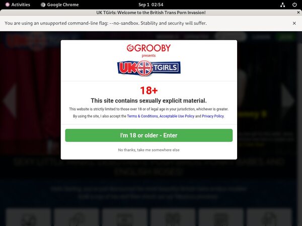 UK TGirls By SMS UK TGirls By SMS