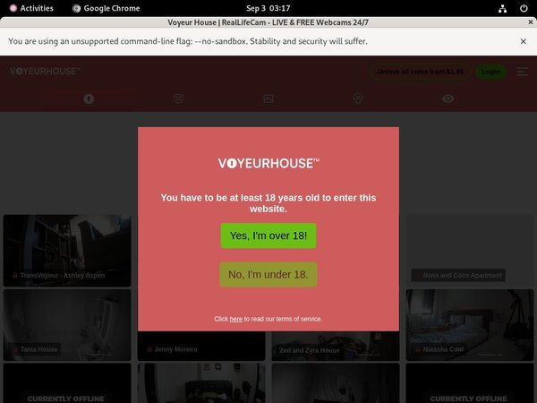 Voyeur House Full Site