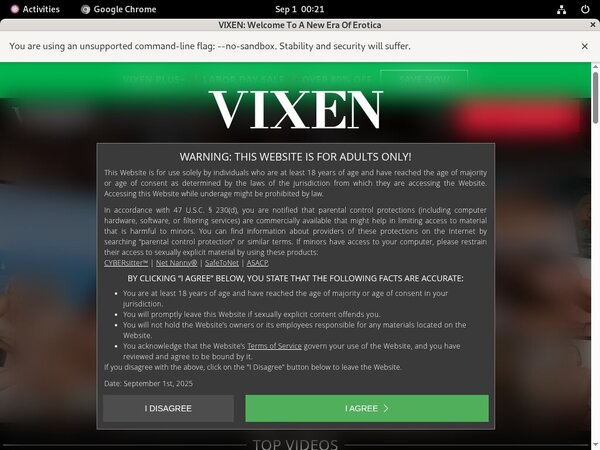 Vixen Blogspot