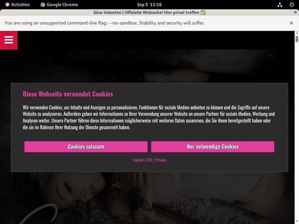 Login To Sina Valentini Free