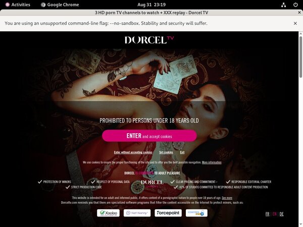 Dorcel Tv Stockings