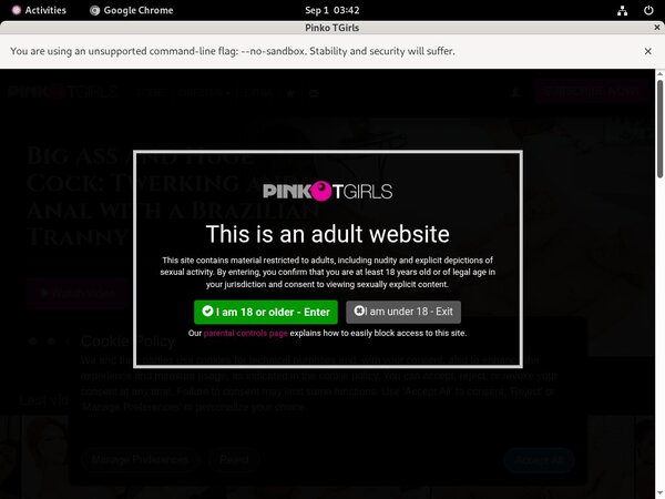 PinkO TGirls Stars PinkO TGirls Stars